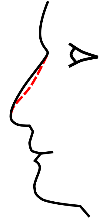 nose