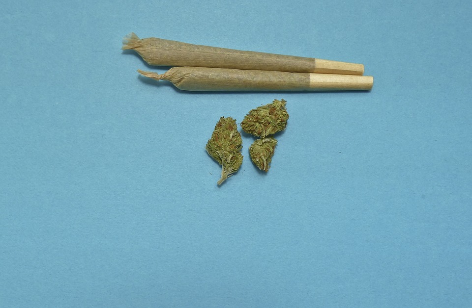 medical weed